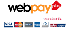 payment-methods_logo-webpay22 https://www.pymemprende.cl/wp-content/uploads/2021/08/payment-methods_logo-webpay22.png